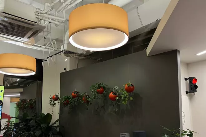 система увлажнения в офисе Яндекс, фото 26